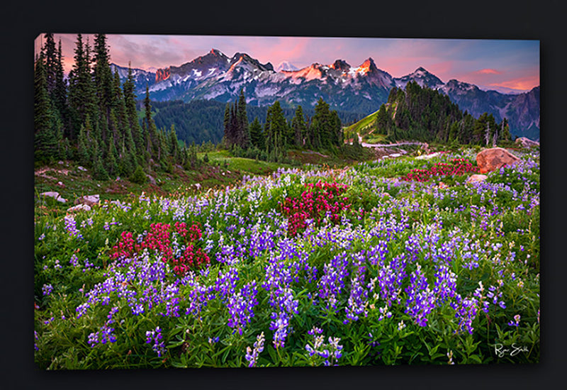 Lupine Meadows Landscape Art by Ryan Smith | Gallery4Collectors.com