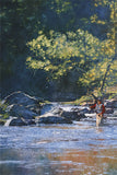 Fishing Mad River by Michael Dudash