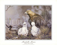 Golden Eagle Nesting Art Prints by Michelle Mara