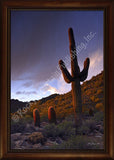 Desert Shadows – Framed Giclee Canvas by Mitchell Mansanarez
