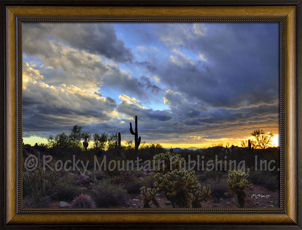 Desert Wonder – Framed Giclee Canvas by Mitchell Mansanarez