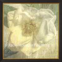 Magnolia – Framed Giclee Canvas by Mitchell Mansanarez