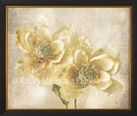 Pair of Magnolias – Framed Giclee Canvas by Mitchell Mansanarez