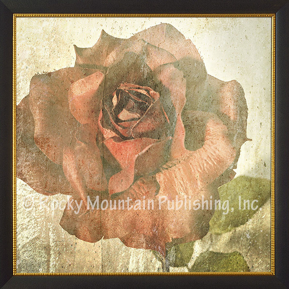 Rose – Framed Giclee Canvas by Mitchell Mansanarez