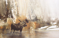 Moose at First Morning Light by Morten E. Solberg