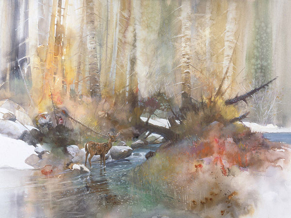 Woodland Stream by Morten E. Solberg