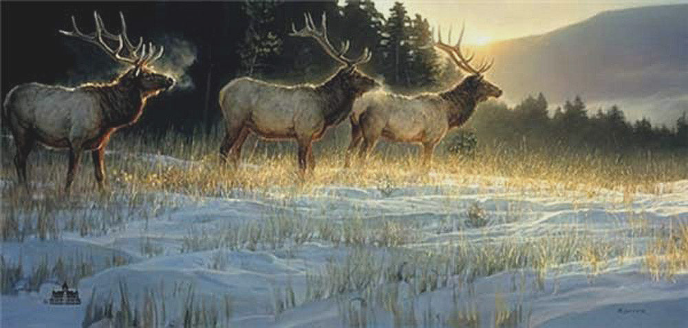 Elk Ridge by Nancy Glazier