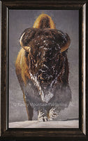 Old Man Winter Bison Canvas art by Mark Mckenna