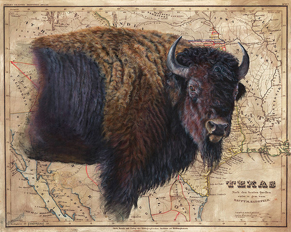 Bison Map by Patty Pendergast