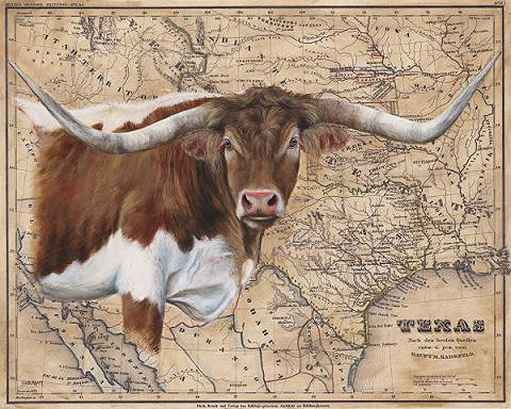 Brown Longhorn Map by Patty Pendergast