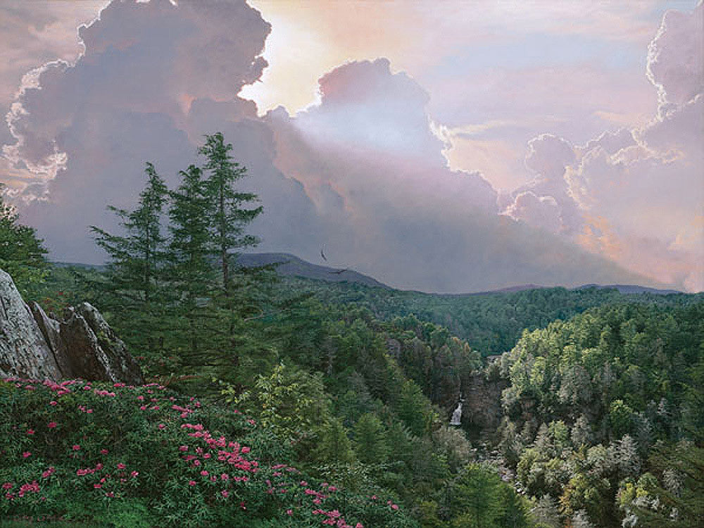 Where the Rhododendron Grow by Phillip Philbeck