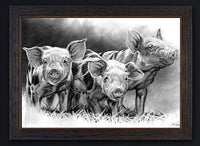 Pig Tales Custom Framed Giclee Canvas Artwork by Joel Pilcher