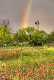 Texas Wildflowers A Windmill and A Rainbow by Rob Greebon