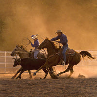 Roping on the Ranch II by Robert Dawson