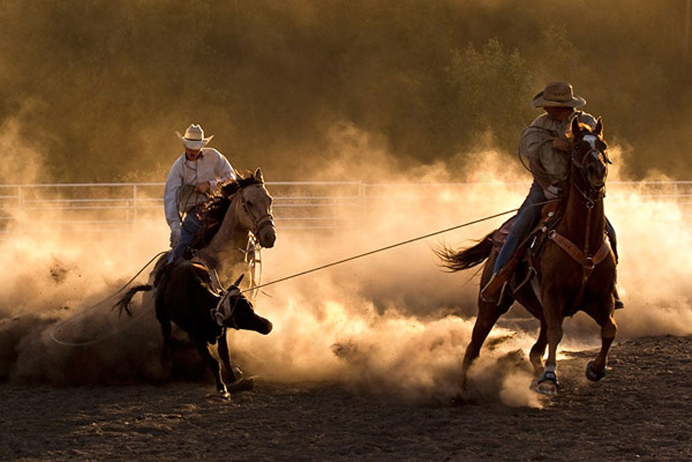 Roping on the Ranch by Robert Dawson