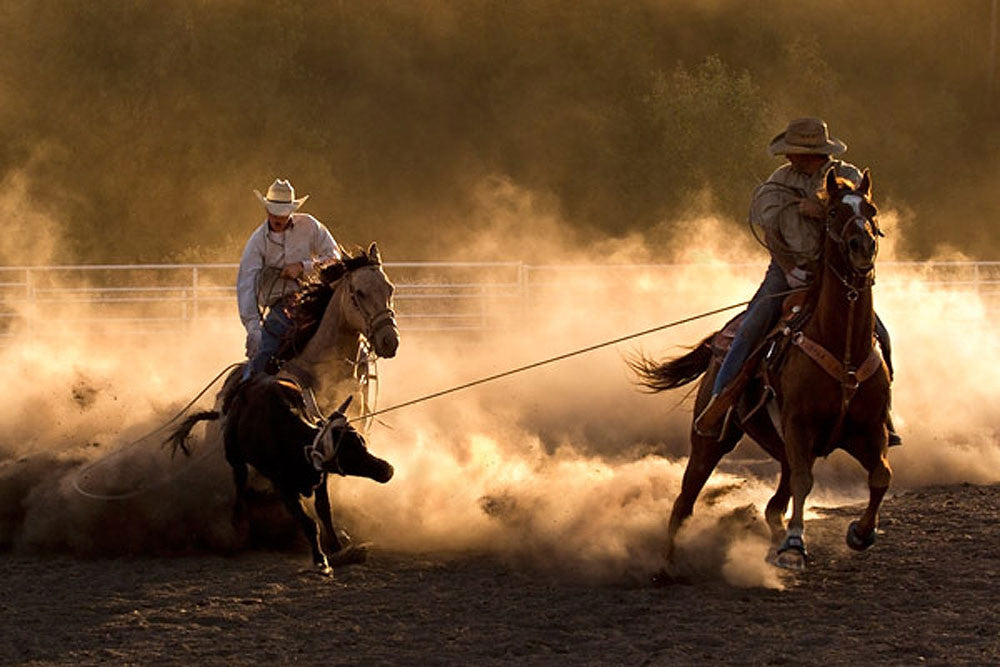 Roping on the Ranch by Robert Dawson | Gallery4Collectors.com