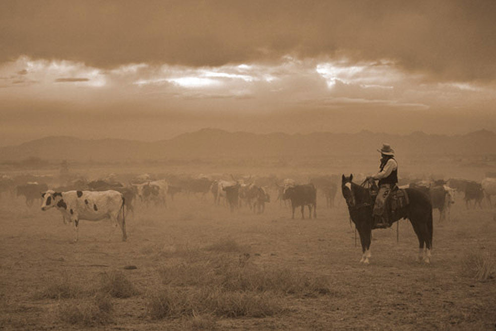 Settling the Herd by Robert Dawson