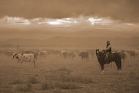 Settling the Herd by Robert Dawson