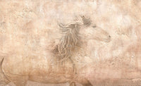 The Fresco Horse by Robert Dawson