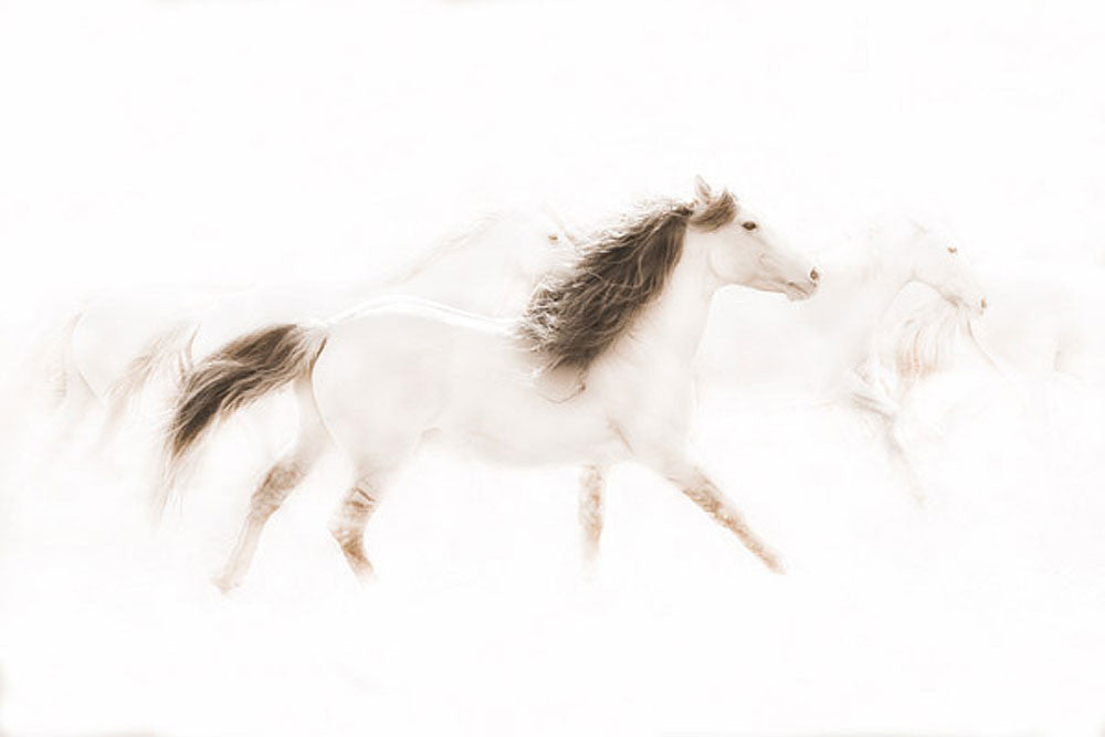 The Mustangs by Robert Dawson