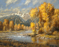 Autumn Brook by Robert Peters
