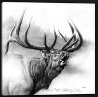Wildlife Animal Art Prints on sale at Gallery4Collectors.com Wildlife Animal Art Prints on sale at Gallery4Collectors.com