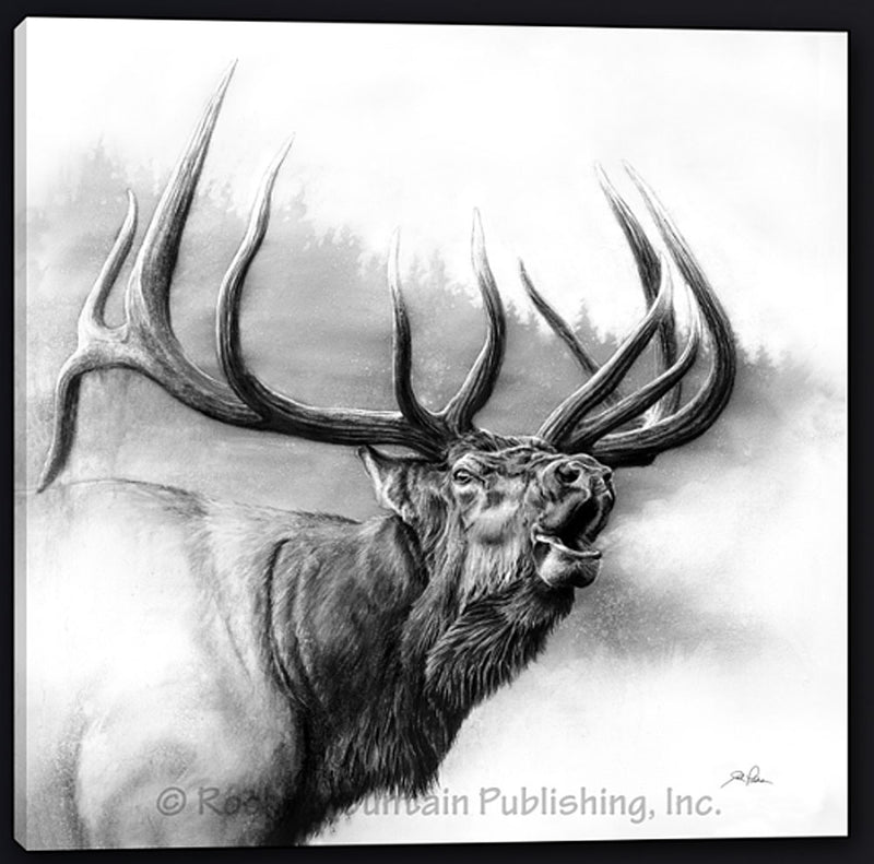 Rocky Mountain King Elk Art by Joel Pilcher