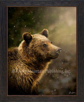 Bear Picture - Framed Flurries by Summer Jackman