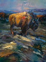 High Plains Bison by Terry Lee