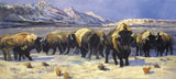 Teton Bison by Terry Lee