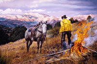 Bear Grass BTUs Cowboy Art Prints by Tim Cox