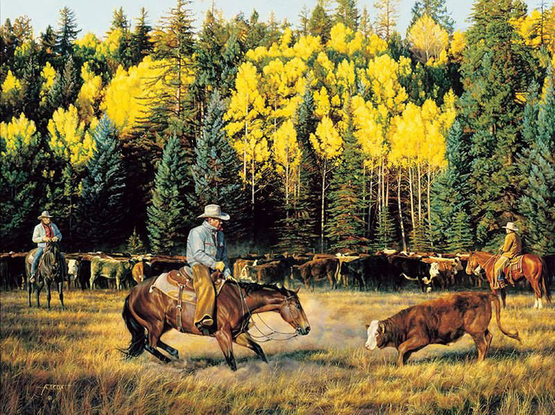 Western Cattle By high quality Tim Cox Off The Mountain In October Limited Litho W COA 22X28