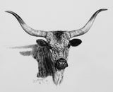 The Blue Cow Longhorn Cattle artwork by Tim Cox