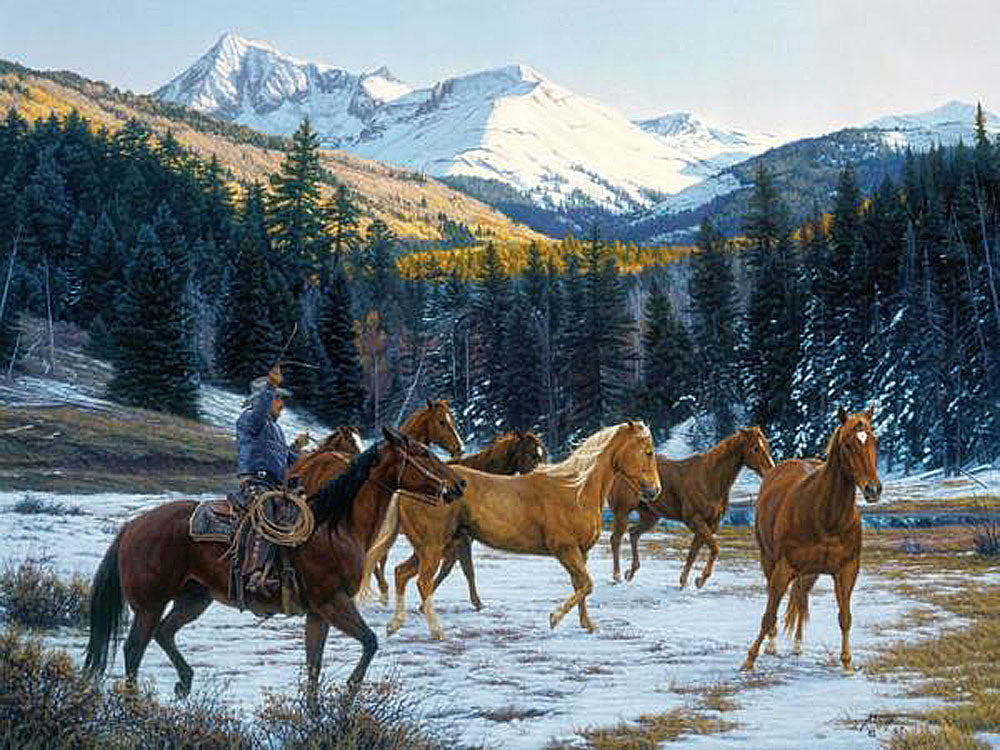 Where the Sun Shines on the Mountain Tops Cowboy Horse Artwork by Tim Cox