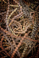 Chain Gang by Todd Van Fleet