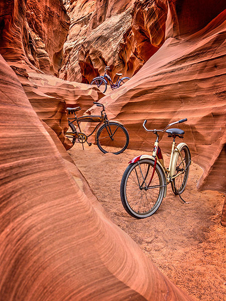 mountainbike owl Owl Canyon Trio Bicycle Art by Todd Van Fleet