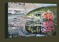 Rainbow Reflections Gallery Wrapped Giclee Canvas by Travis Sylvester
