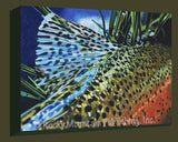 Sapphire Gallery Wrapped Canvas by Travis Sylvester