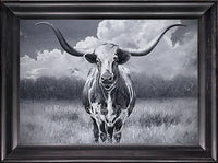 Wide Angle - Framed Giclee Canvas art print by Dallen Lambson