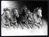 Wild Bunch Horses by Joel Pilcher