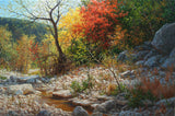 Radiance of Autumn Art Prints by William Hagerman Artist