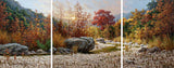 Autumn Triptych – Art Prints by William Hagerman