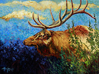 From the Woods - Art Prints by Terry Lee