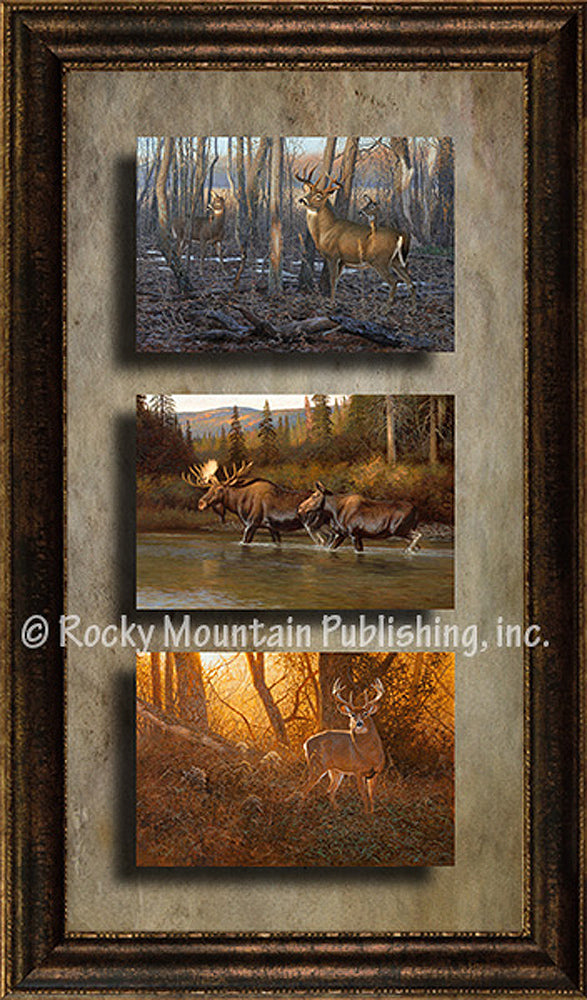 Big Game – Triple Giclee Canvas Framed Art Prints by Hayden Lambson