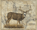 Mule Deer Art Prints by Patty Pendergast