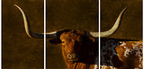Texas Heritage Triptych Longhorn Art Prints by Robert Dawson