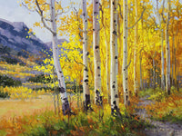 Trail Through Golden Aspen Art Prints by Gary Kim